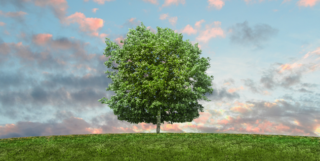 Société Française d’Écologie