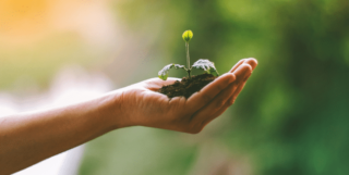 Circularity Gap World