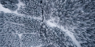 Green Screen – Interreg Europe