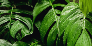 WE ARE ALBERT – Subtitles to Save the World: An Analysis of How UK Broadcasters Are Exposing Audiences to Climate Change Through Their Content