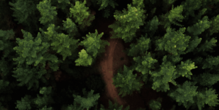 EUROPEAN COMMISSION – Greening the European Audiovisual Industry